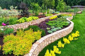 Design your Yard with beauty