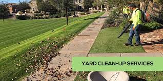 edsyardcleanupservices